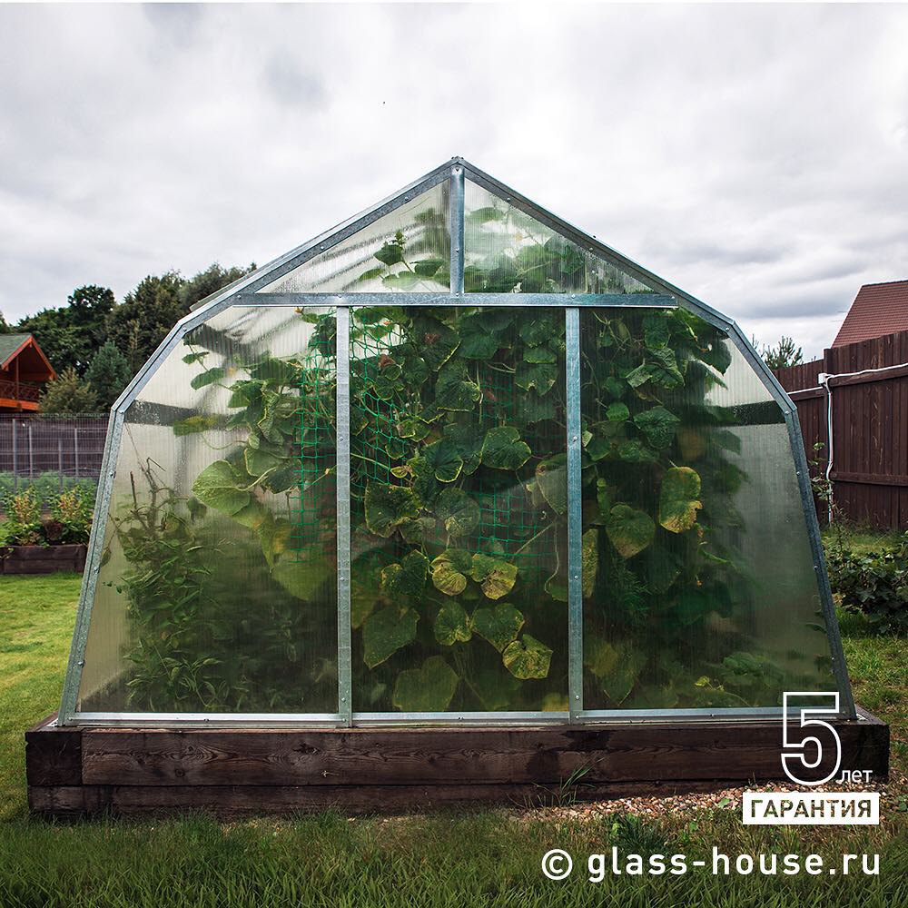 Теплица для большого урожая: размер, остекление, оснащение